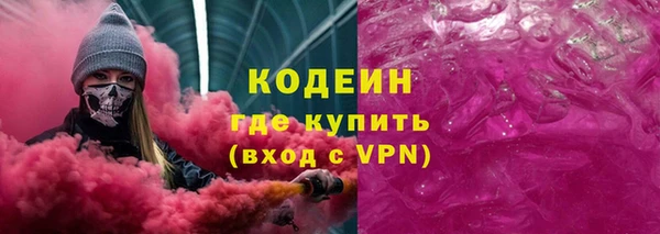 хмурый Арсеньев