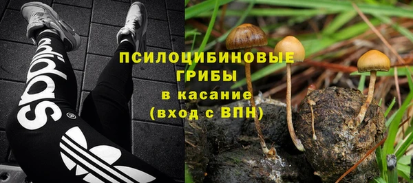 прущая мука Армянск