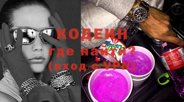 хмурый Арсеньев
