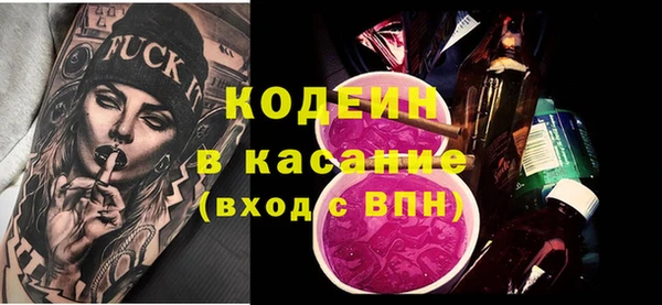 хмурый Арсеньев
