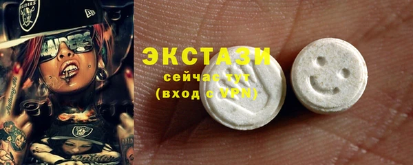 хмурый Арсеньев