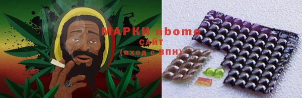 хмурый Арсеньев