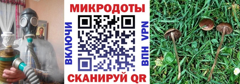 Псилоцибиновые грибы ЛСД  Тогучин 